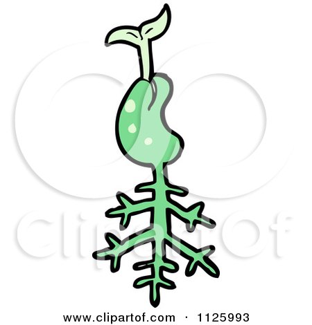 Cartoon Of A Sprouting Green Plant Seed 4 - Royalty Free Vector Clipart by lineartestpilot