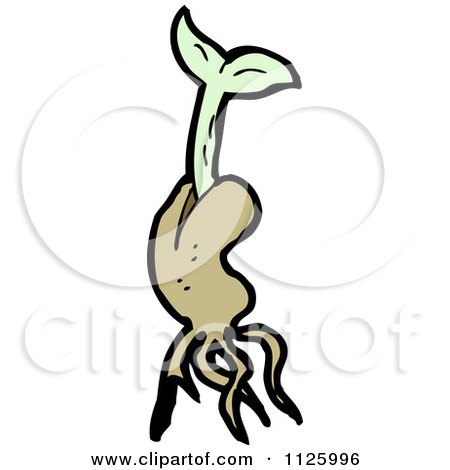 plant seeds cartoon