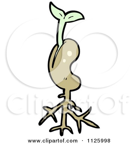 Cartoon Of A Sprouting Plant Seed 2 - Royalty Free Vector Clipart by lineartestpilot