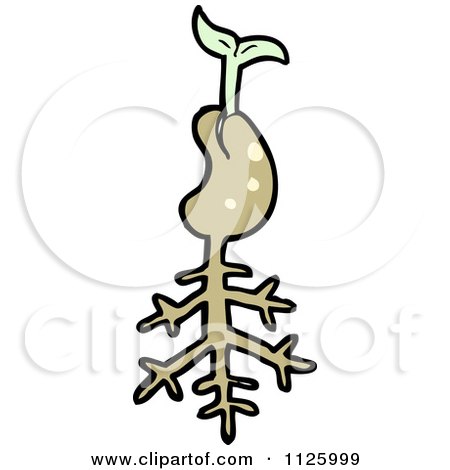 Cartoon Of A Sprouting Plant Seed 3 - Royalty Free Vector Clipart by lineartestpilot
