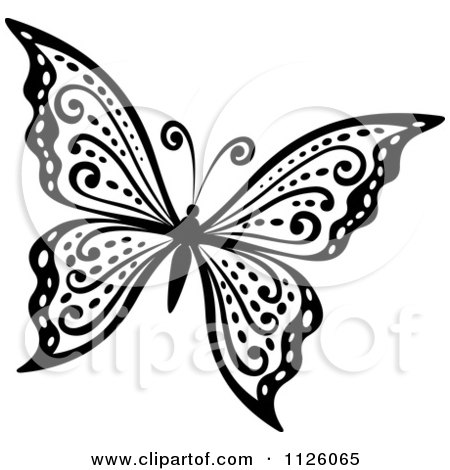 Black And White Butterfly 29 Posters Art Prints By Interior