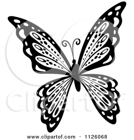 Clipart Of A Black And White Butterfly 26 - Royalty Free Vector Illustration by Vector Tradition SM
