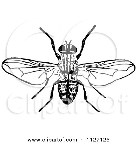 Clipart Of A Retro Vintage Black And White Bee 1 - Royalty Free Vector Illustration by Prawny Vintage