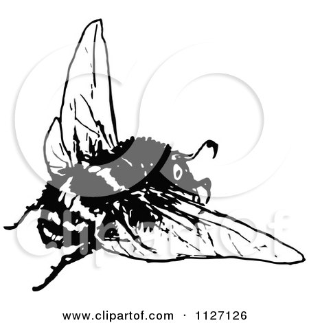 Clipart Of A Retro Vintage Black And White Bee 2 - Royalty Free Vector Illustration by Prawny Vintage