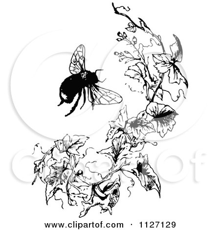 Clipart Of A Retro Vintage Black And White Bumble Bee And Branch - Royalty Free Vector Illustration by Prawny Vintage