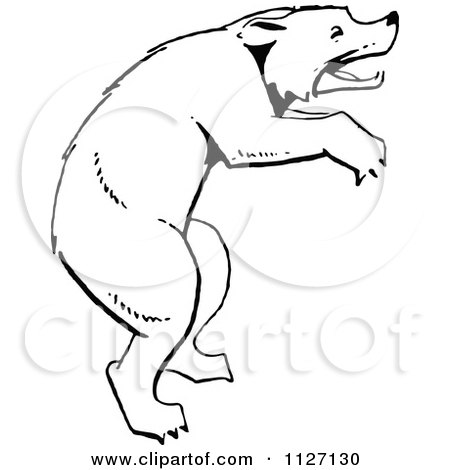 Clipart Of A Retro Vintage Black And White Bear On Its Hind Legs - Royalty Free Vector Illustration by Prawny Vintage