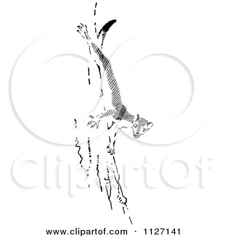 Clipart Of A Retro Vintage Black And White Weasel On A Tree Trunk - Royalty Free Vector Illustration by Prawny Vintage
