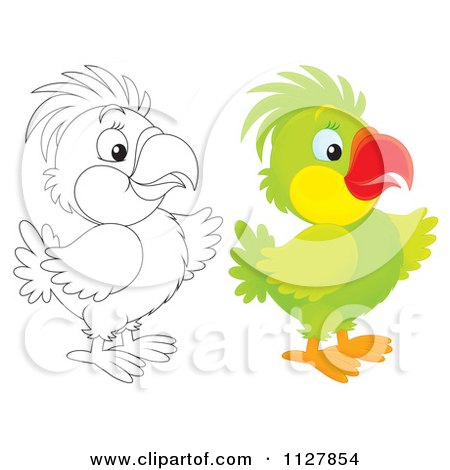 Cartoon Of Outlined And Colored Cute Parrots Pointing - Royalty Free Clipart by Alex Bannykh