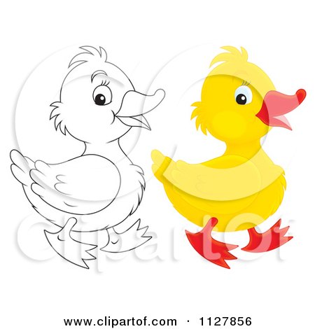 Cartoon Of Outlined And Colored Cute Ducklings In Profile - Royalty Free Clipart by Alex Bannykh