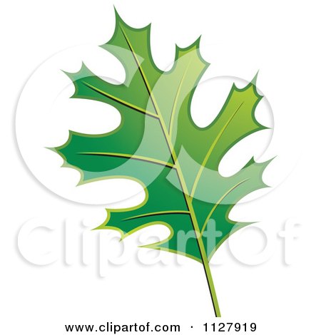 Clipart Of A Green Oak Leaf - Royalty Free Vector Illustration by Lal Perera