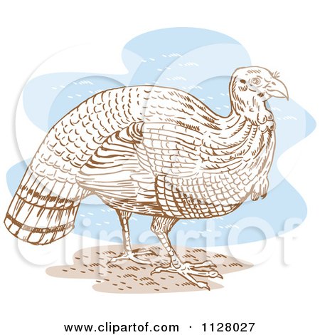 Clipart Of A Thanksgiving Turkey Bird Over Blue - Royalty Free Vector Illustration by patrimonio