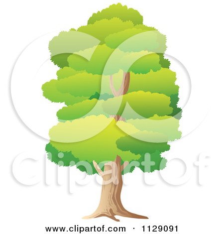 Cartoon Of A Lush Tall Green Tree - Royalty Free Vector Clipart by YUHAIZAN YUNUS