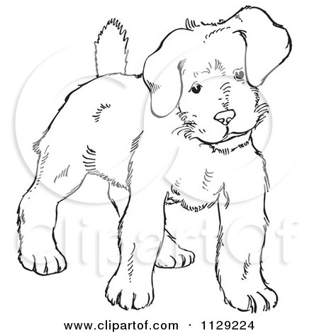 Cartoon Clipart Of An Outlined Alert Puppy Dog - Black And White Vector Coloring Page by Picsburg