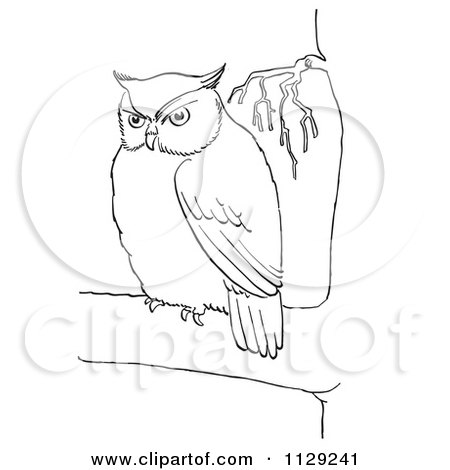 Cartoon Clipart Of An Outlined Chubby Owl In A Tree - Black And White Vector Coloring Page by Picsburg