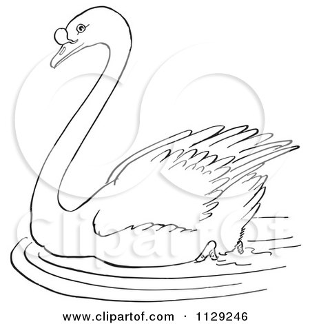 Cartoon Clipart Of An Outlined Swimming Swan - Black And White Vector Coloring Page by Picsburg