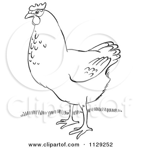 Cartoon Clipart Of An Outlined Hen On Grass - Black And White Vector Coloring Page by Picsburg