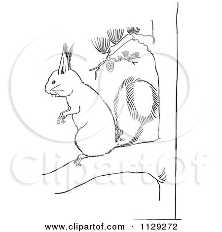 Cartoon Clipart Of An Outlined Squirrel On A Pine Tree Branch - Black And White Vector Coloring Page by Picsburg