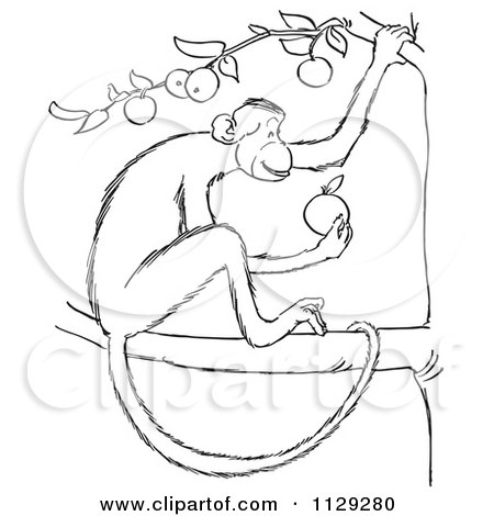 Cartoon Clipart Of An Outlined Monkey Eating In An Apple Tree - Black And White Vector Coloring Page by Picsburg