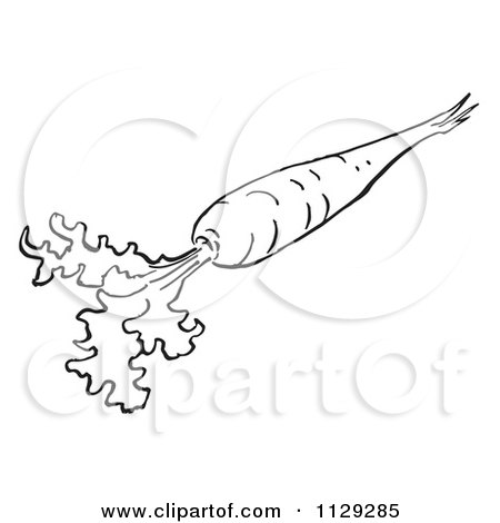 Cartoon Clipart Of An Outlined Carrot With Greens - Black And White Vector Coloring Page by Picsburg