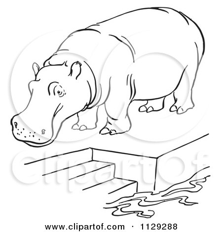 Cartoon Clipart Of An Outlined Zoo Hippo On A Pool Platform With Stairs - Black And White Vector Coloring Page by Picsburg