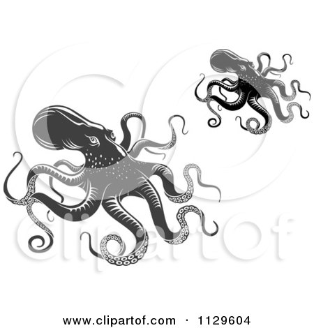 Clipart Of Black And White And Gray Octopuses - Royalty Free Vector Illustration by Vector Tradition SM