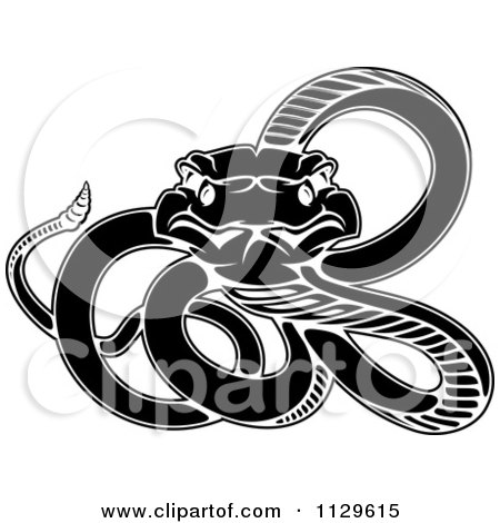 Clipart Of A Black And White Snake - Royalty Free Vector Illustration by Vector Tradition SM