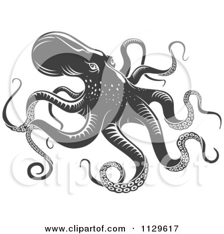 Clipart Of A Grayscale Octopus - Royalty Free Vector Illustration by Vector Tradition SM