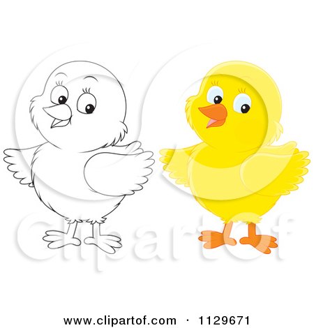 Cartoon Of Outlined And Colored Chicks - Royalty Free Vector Clipart by Alex Bannykh