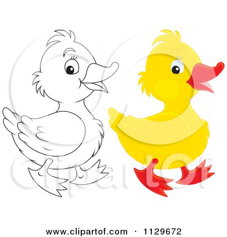 Cartoon Of Outlined And Colored Ducklings - Royalty Free Vector Clipart by Alex Bannykh