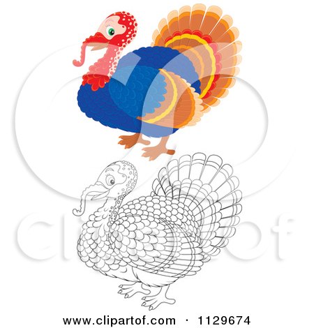 Cartoon Of Outlined And Colored Turkey Birds - Royalty Free Vector Clipart by Alex Bannykh