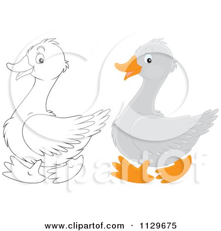 Cartoon Of Outlined And Colored Geese - Royalty Free Vector Clipart by Alex Bannykh