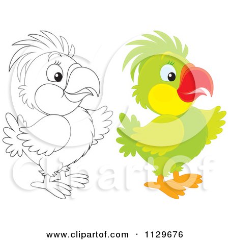 Cartoon Of Outlined And Colored Parrots - Royalty Free Vector Clipart by Alex Bannykh