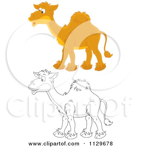 Cartoon Of Outlined And Colored Camels - Royalty Free Vector Clipart by Alex Bannykh