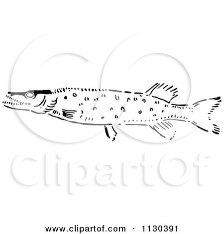 Clipart Of A Retro Vintage Black And White Pike Fish - Royalty Free Vector Illustration by Prawny Vintage