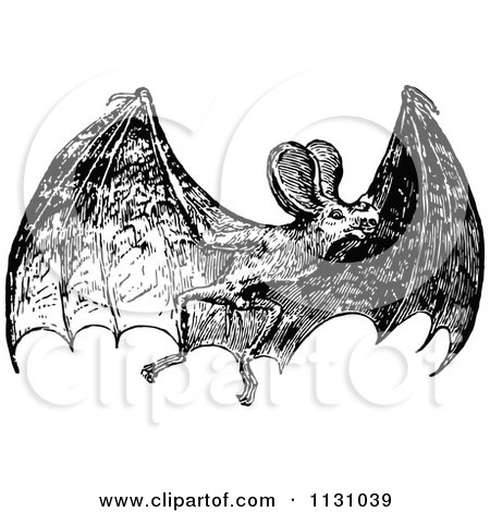 Clipart Of A Retro Vintage Black And White Flying Bat - Royalty Free Vector Illustration by Prawny Vintage
