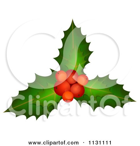 Clipart Of Christmas Holly Berries And Leaves - Royalty Free Vector Illustration by dero