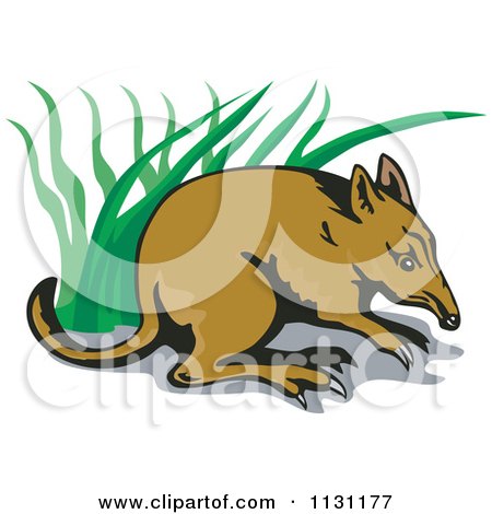 Clipart Of A Bandicoot In Grass - Royalty Free Vector Illustration by patrimonio