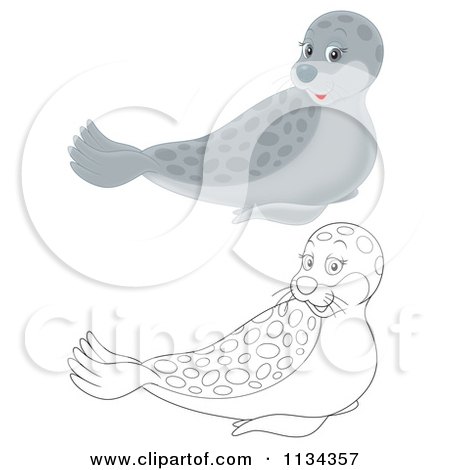 Cartoon Of A Cute Outlined And Colored Seal - Royalty Free Clipart by Alex Bannykh