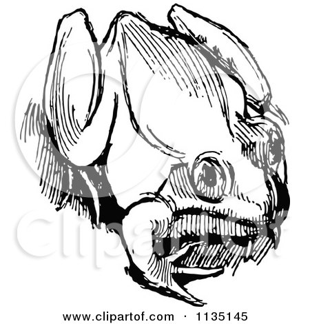 Clipart Of A Retro Black And White Bull Frog 4 - Royalty Free Vector Illustration by Prawny Vintage