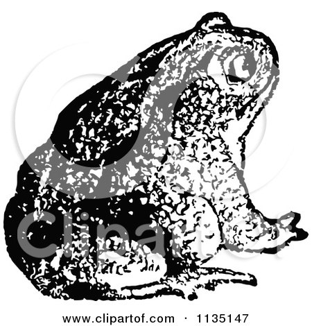 Clipart Of A Retro Black And White Bull Frog 2 - Royalty Free Vector Illustration by Prawny Vintage