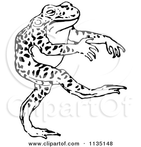 Clipart Of A Retro Black And White Bull Frog Walking - Royalty Free Vector Illustration by Prawny Vintage