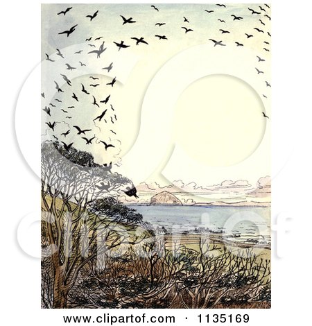 Clipart Of A Vintage Frame Of Crows Over A Beach - Royalty Free Illustration by Prawny Vintage