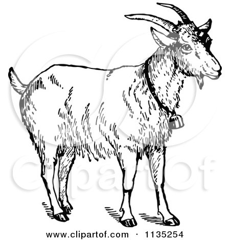Clipart Of A Retro Vintage Black And White Goat Wearing A Bell - Royalty Free Vector Illustration by Prawny Vintage