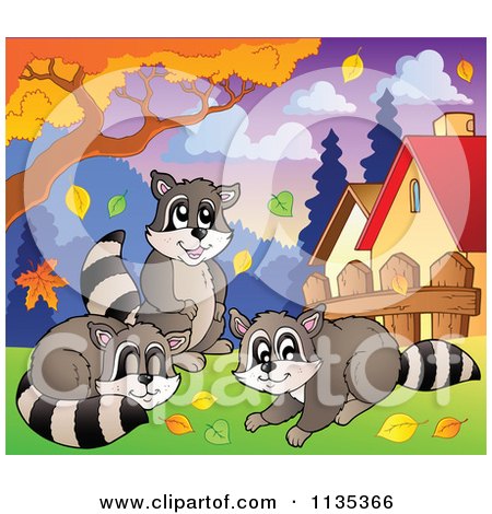 Cartoon Of Raccoons Under An Autumn Tree - Royalty Free Vector Clipart by visekart