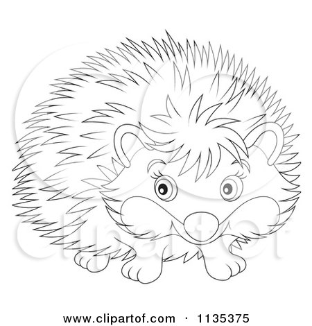 Cartoon Of A Cute Outlined Hedgehog - Royalty Free Vector Clipart by Alex Bannykh