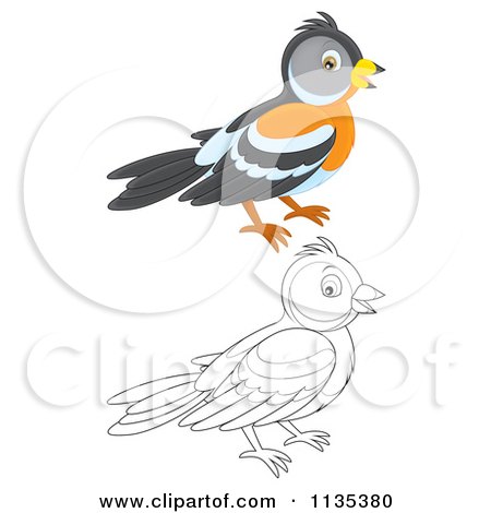 Cartoon Of Outlined And Colored Birds - Royalty Free Vector Clipart by Alex Bannykh