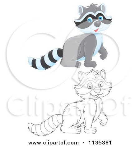 Cartoon Of A Cute Outlined And Colored Raccoons - Royalty Free Vector Clipart by Alex Bannykh