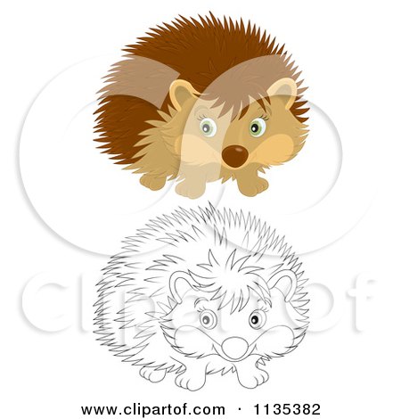 Cartoon Of Cute Outlined And Colored Hedgehogs - Royalty Free Vector Clipart by Alex Bannykh