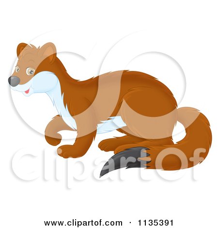 Cartoon Of A Cute Brown Weasel - Royalty Free Vector Clipart by Alex Bannykh
