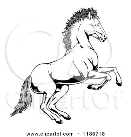 Clipart Of A Black And White Rearing Horse - Royalty Free Vector Illustration by AtStockIllustration